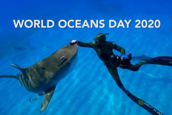 WORLD OCEANS DAY 2020
