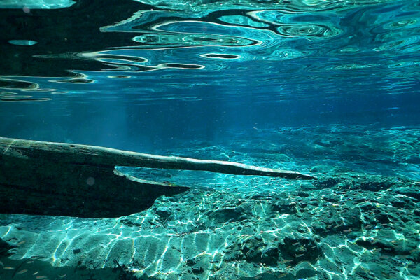 Florida Springs Unearthed